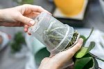 Orchid Repotting with the Niagara Frontier Orchid Society
