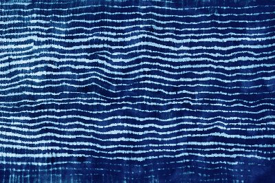 Indigo Resist Dyeing Workshop: Textile Art Series at the Botanical Gardens