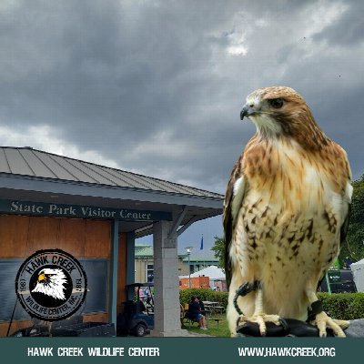 Fundraiser Plant Sale