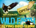 Wild Earth