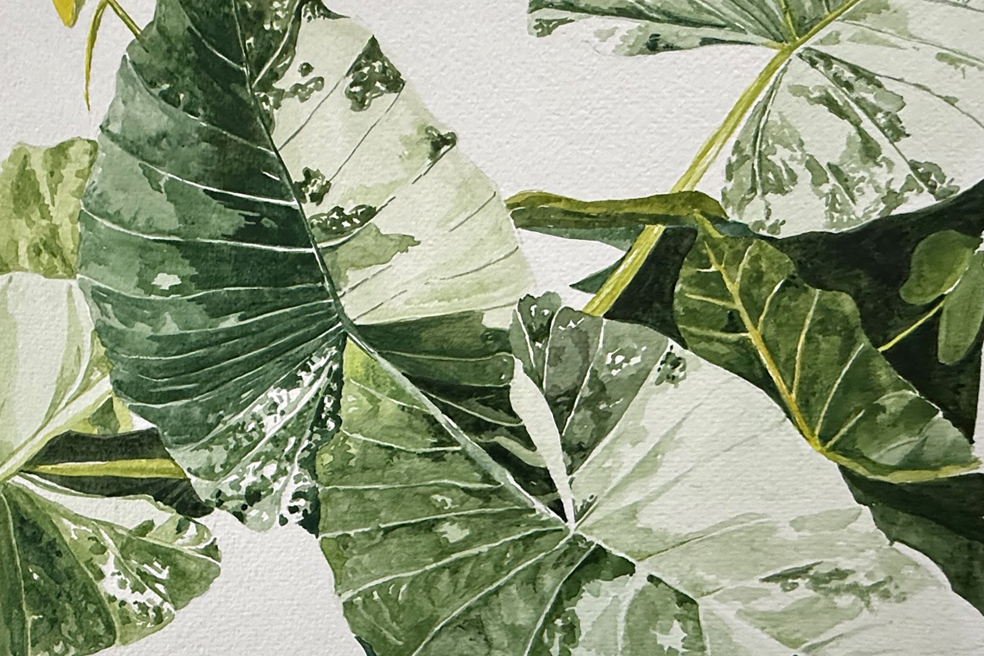 Pushing Through | Arcangel Gallery Exhibit at the Botanical Gardens
