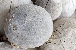 Warren Quigley, "Erratic"