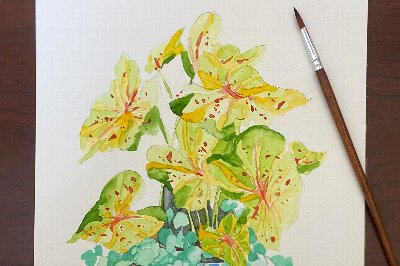 Tropical Plants: Watercolor Workshop at the Botanical Gardens