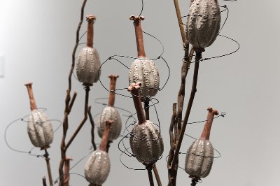 Deborah Stewart, "Propagation and Endurance"