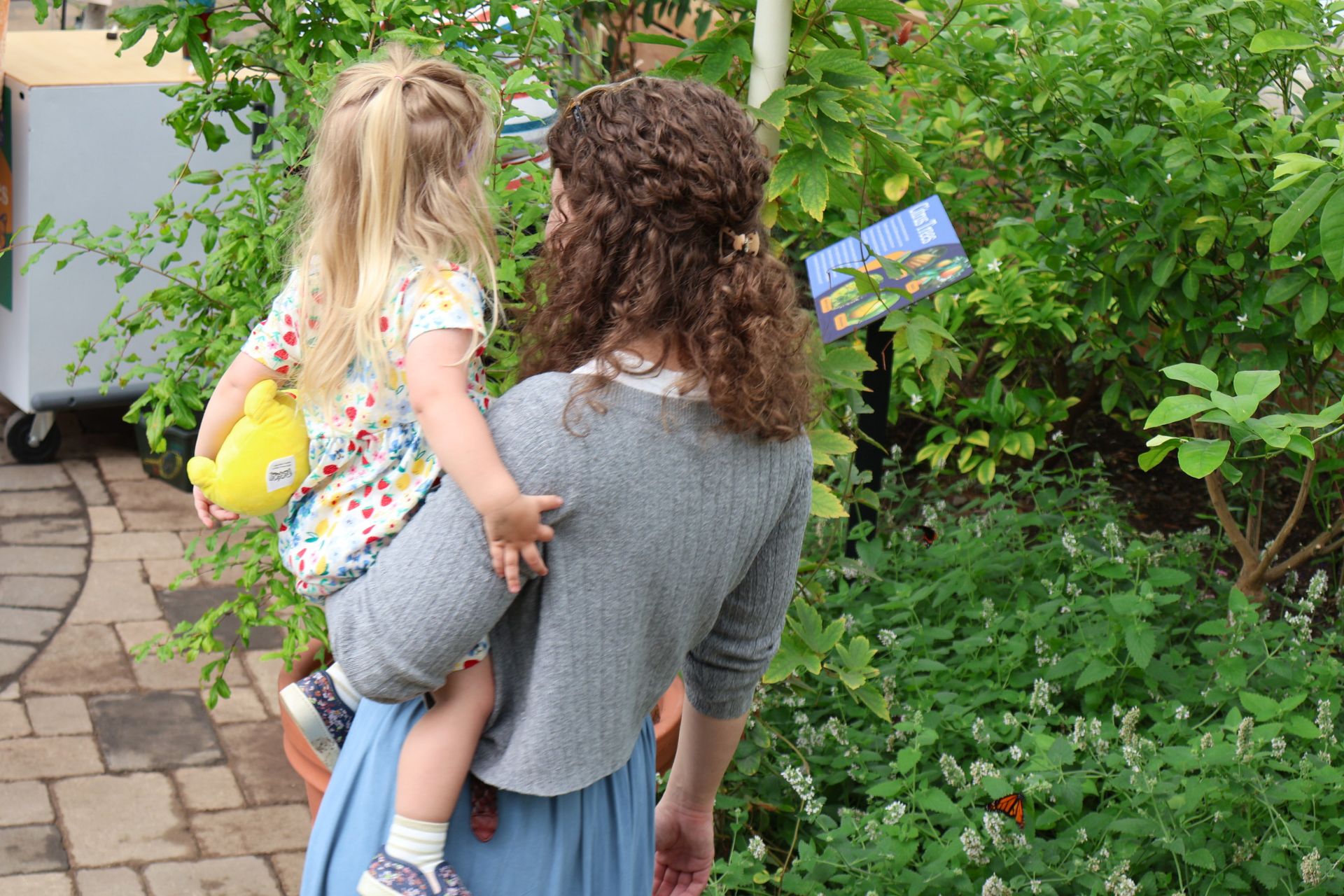 Growing Back to School at the Botanical Gardens