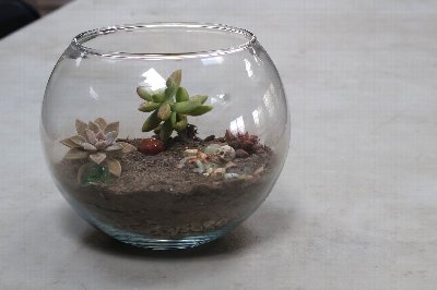 Succulent Garden Workshop at the Botanical Gardens