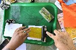 Gel Printing Workshop at the Botanical Gardens