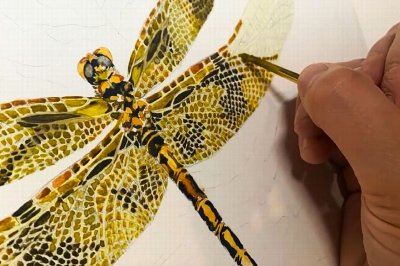 Dragonflies: Next Level Watercolor Workshop at the Botanical Gardens