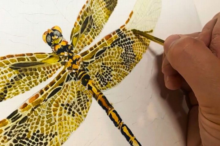 Dragonflies: Next Level Watercolor Workshop at the Botanical Gardens