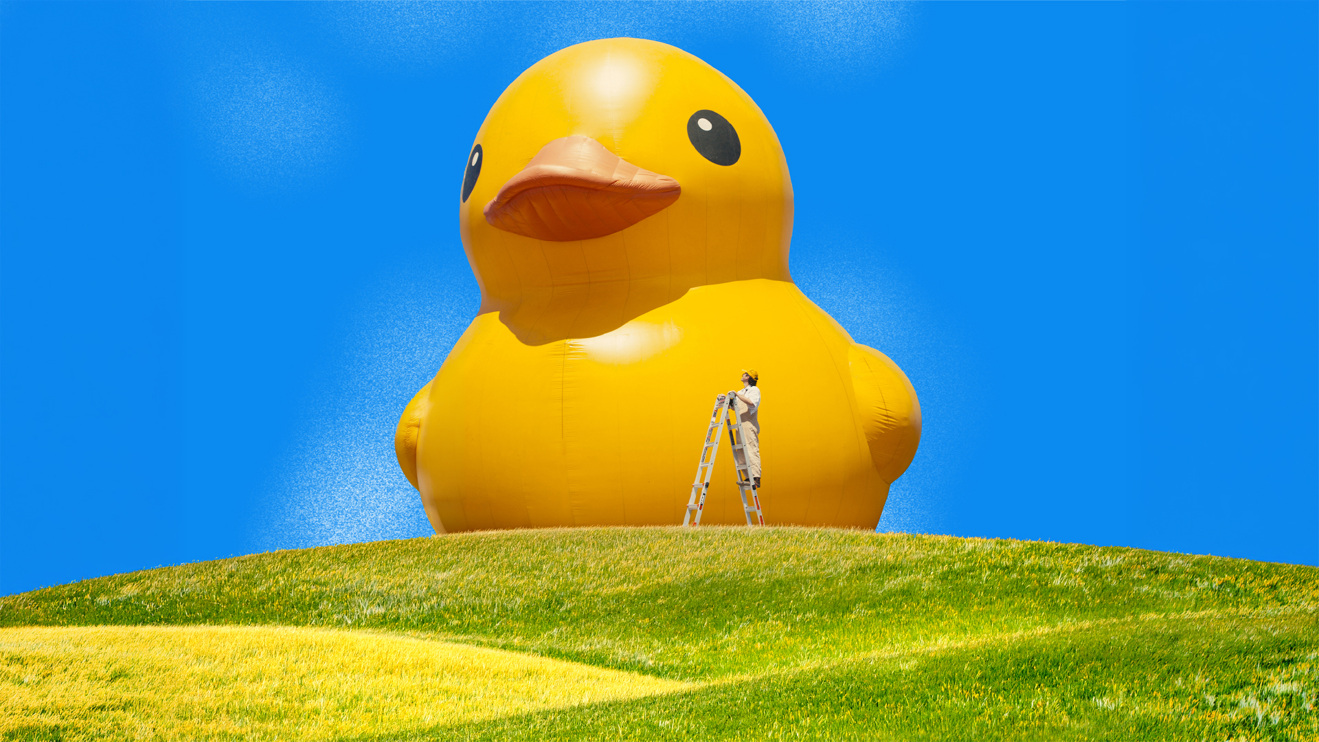 Anees: Lucky Duck Tour