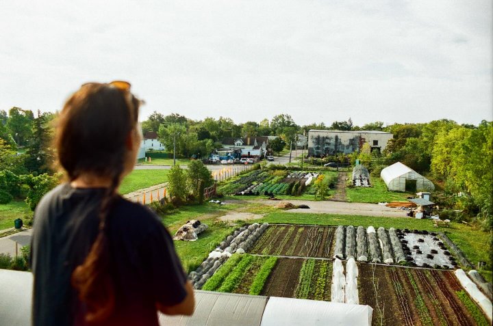 Groundwork Market Garden Celebrates 10 Years of Growing Community with Food For All 2026