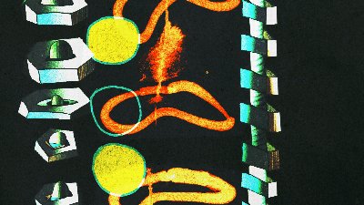 Squeaky Wheel’s 23rd Animation Fest! at Buffalo AKG Art Museum — Dec 4, 2026