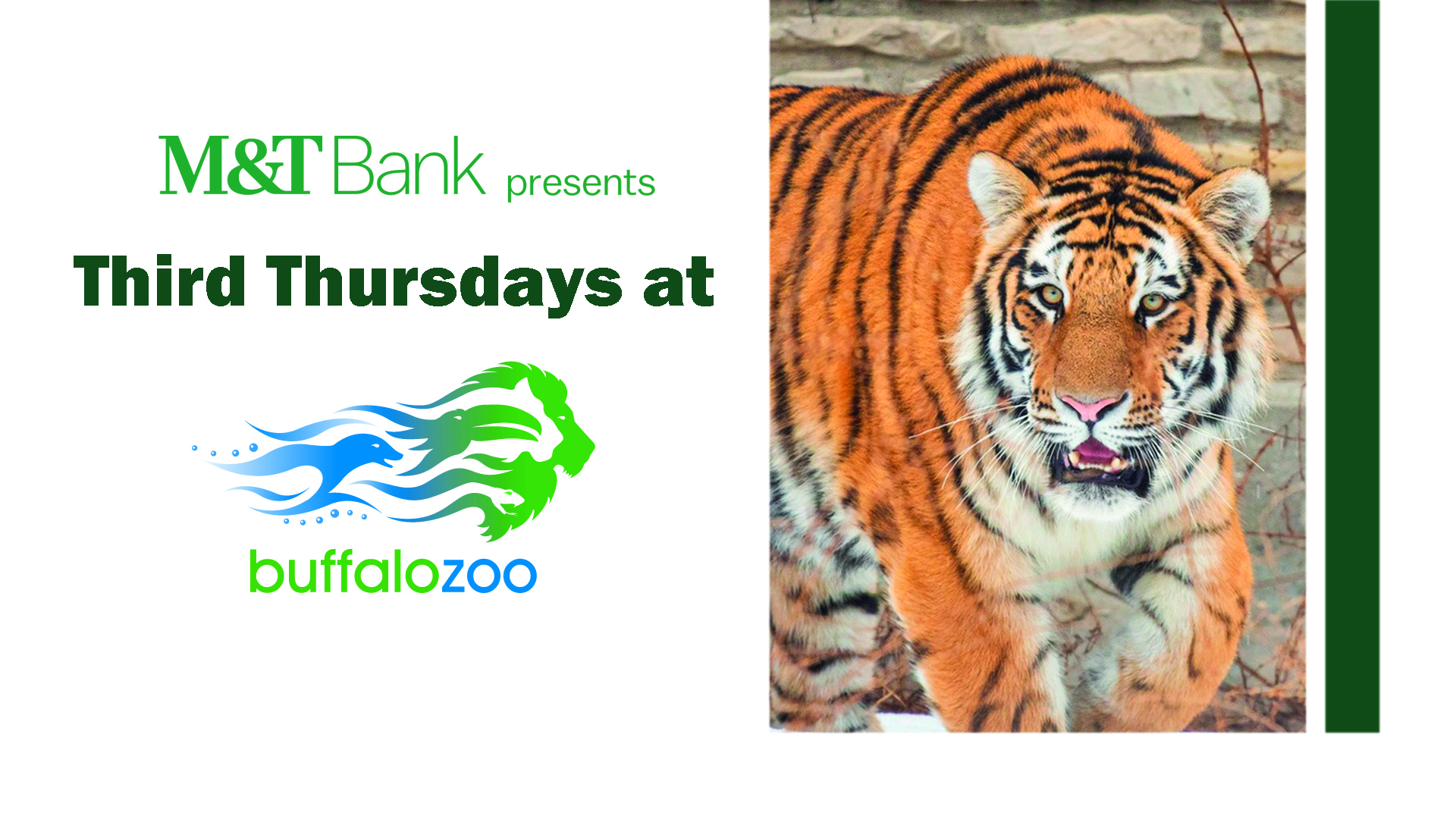 M&T Bank Presents Third Thursdays at the Buffalo Zoo