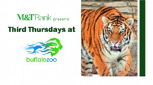 M&T Bank Presents Third Thursdays at the Buffalo Zoo