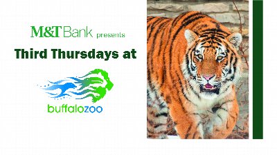 M&T Bank Presents Third Thursdays at the Buffalo Zoo