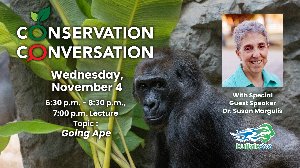 Conservation Conversation: Going Ape