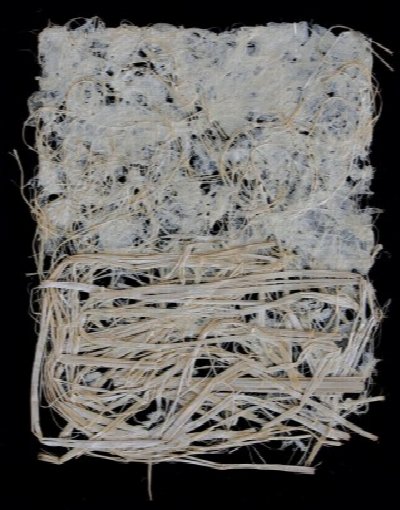 Embellished Handmade Paper at Western New York Book Arts — Mar 3, 2012
