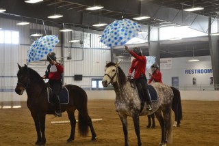 EquiFest 2013