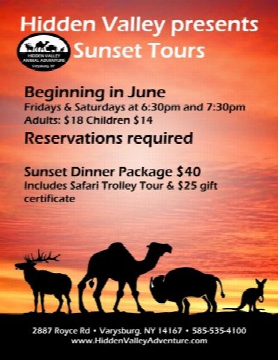 Sunset Safari Tours
