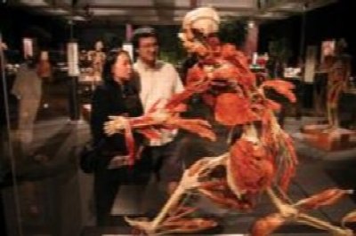 Body Worlds Vital