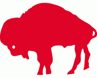 Buffalo Bills vs. Atlanta Falcons