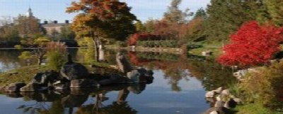 Adult Watercolor Classes