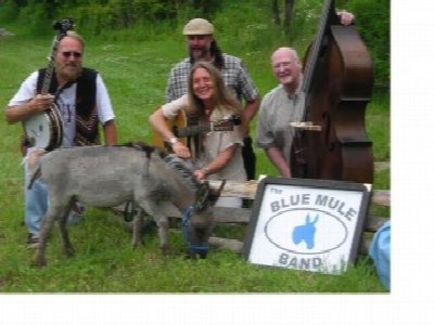 The Blue Mule Band