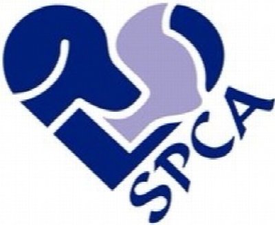10 Band Tribute to Tom Waits, benefiting the SPCA — Mar 1, 2014