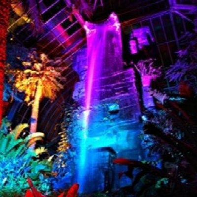 NIGHT LIGHTS at the Gardens