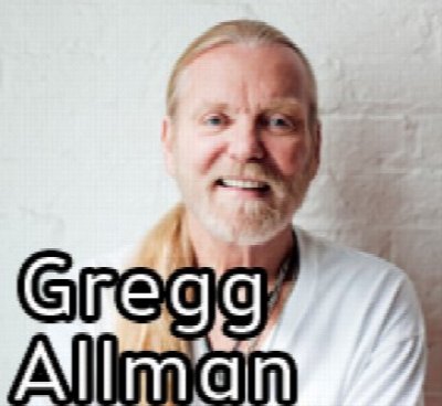 Gregg Allman at Artpark — Aug 12, 2014