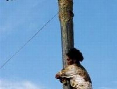 Grease Pole Festival at 261 Swan Street, Buffalo, NY 14204 — Jul 18, 2014