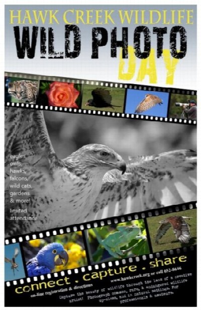 Wild Photo Day