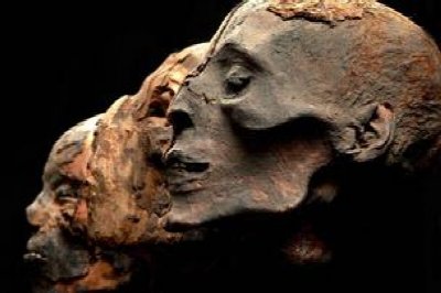 Mummies of the World at Buffalo Museum of Science — Jul 27, 2014