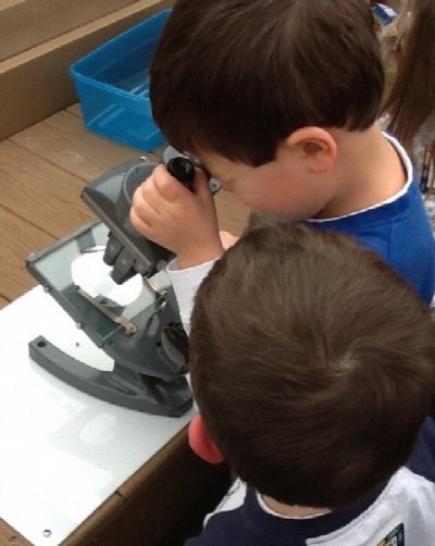 Junior Botanist Camp at Buffalo & Erie County Botanical Gardens — Aug 11, 2014