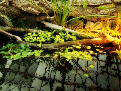 Ann Parker Arcangel Gallery Exhibit