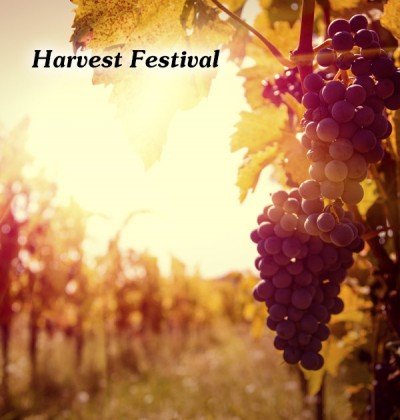 Harvest Fest — Sep 19, 2014