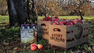 Beer Tasting - Angry Orchard