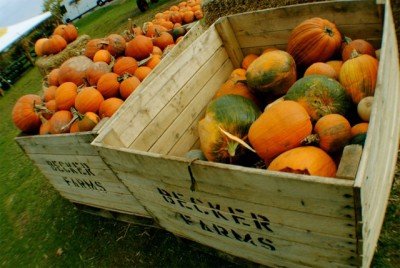 Becker Farms 120th Anniversary Celebration