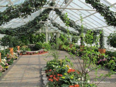 Annuals & Perennials at 2655 South Park Avenue Buffalo, NY 14218 — Jan 10, 2015