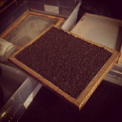Deckle Box Papermaking