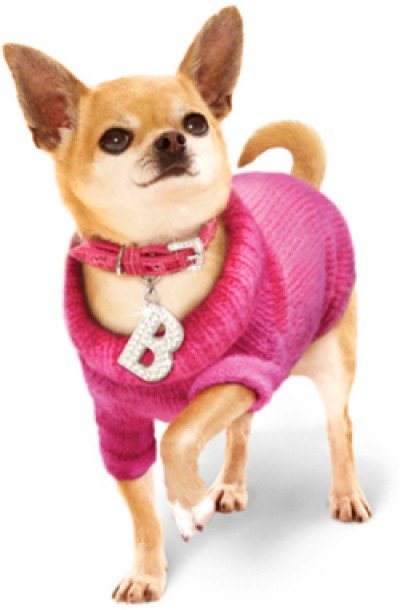 Legally Blonde The Musical at Lancaster Opera House — Jun 5, 2015
