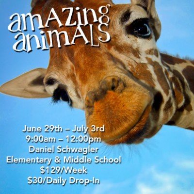 Amazing Animals Summer Camp at Stutelage Innovations — Jun 29, 2015