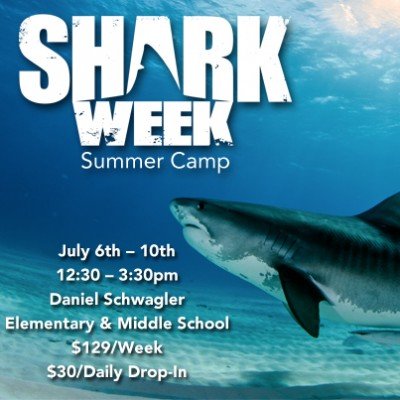 Shark Week Summer Camp at Stutelage Innovations — Jul 6, 2015