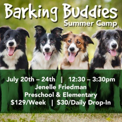 Barking Buddies Summer Camp at Stutelage Innovations — Jul 20, 2015