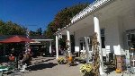 Grandpaws Cafe For Good