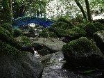 Crystal Bridge Healing