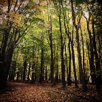 Reinstein Woods Environmental Education Center