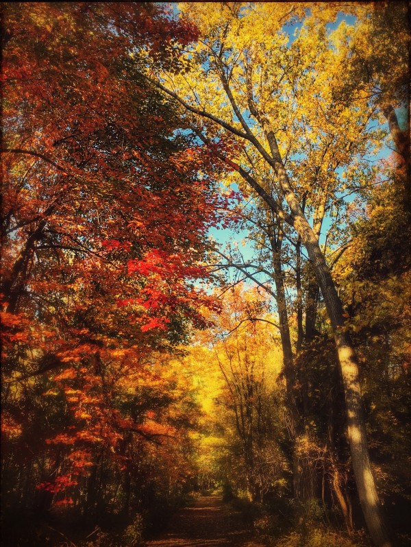 Reinstein Woods Environmental Education Center