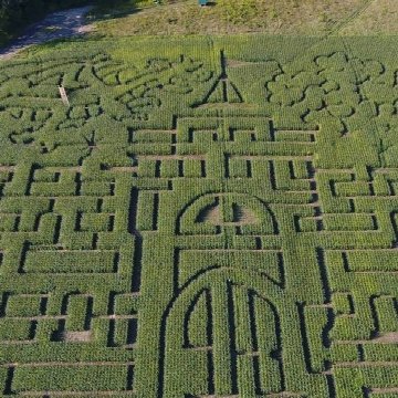 The MAiZE in Buffalo