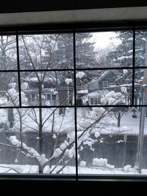 Hampton Inn East Aurora